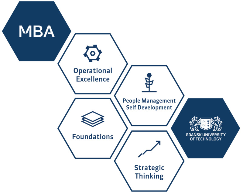 Executive International Mba